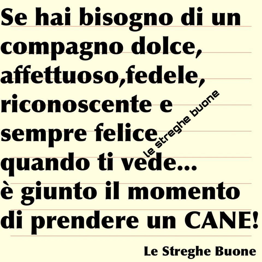 Se hai bisogno di un compagno dolce, affettuoso, fedele, riconoscente e sempre felice quando ti vede... è giunto il momento di prendere un CANE!