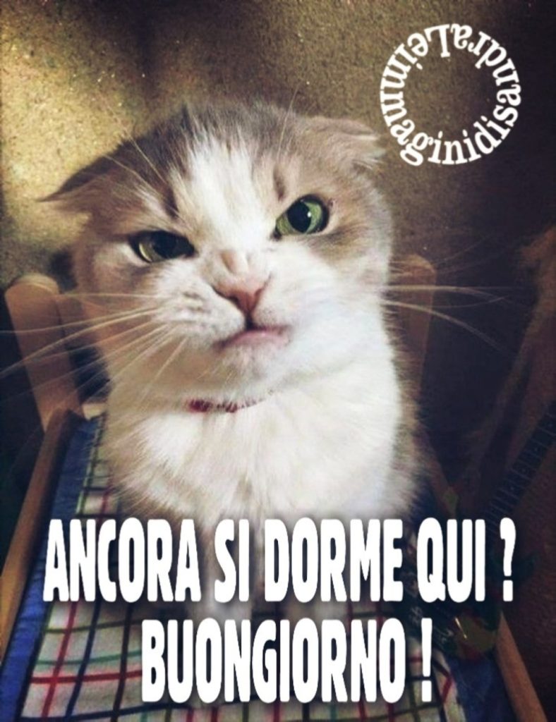 Ancora si dorme qui? Buongiorno