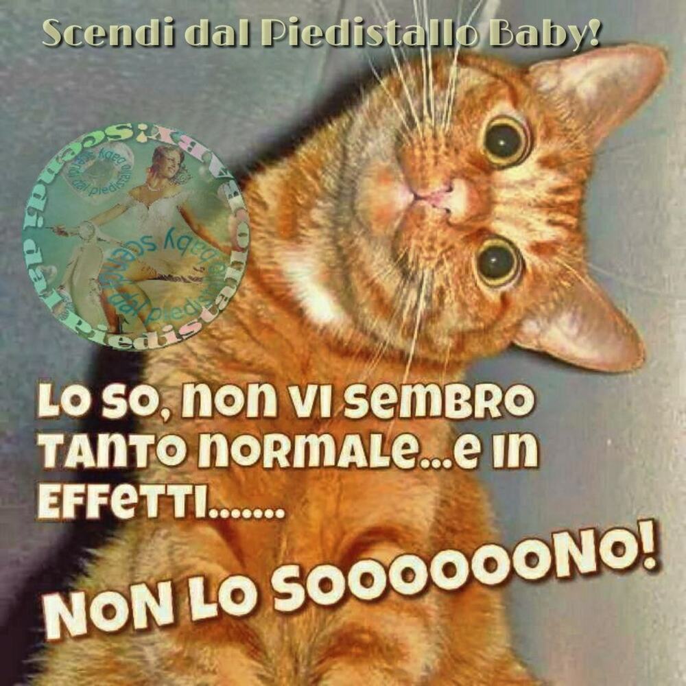 Lo so, non vi sembro tanto normale...e in effetti... non lo sooooooooono!