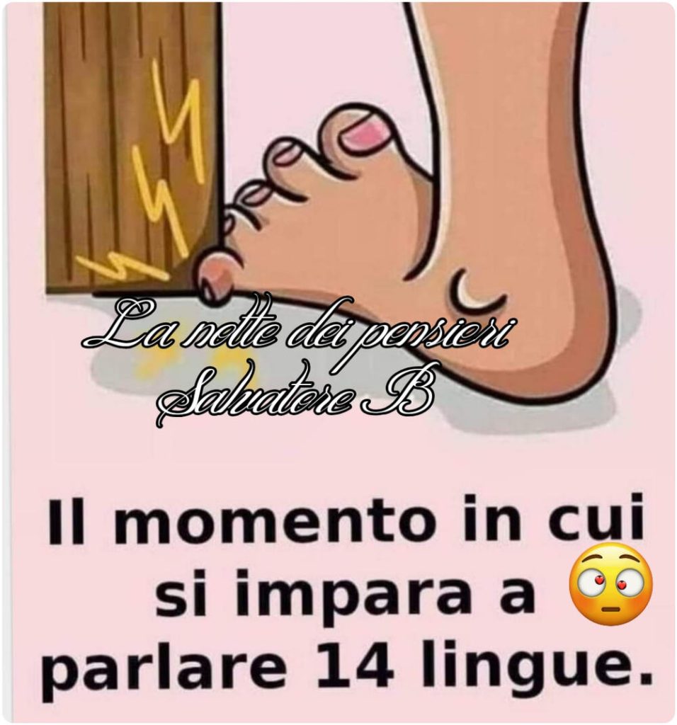 Il momento in cui si impara a parlare 14 lingue