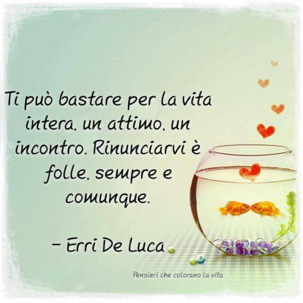 Ti può bastare per la vita intera, un attimo, un incontro. Rinunciarci è folle, sempre e comunque