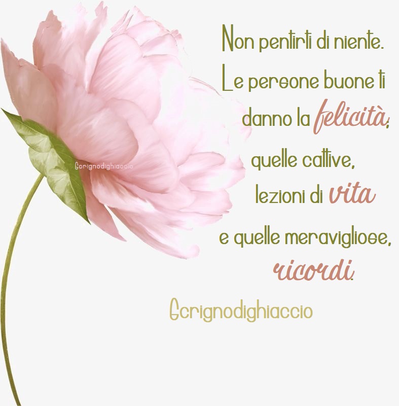 Non pentirti di niente. Le persone buone ti danno la felicità, quelle cattive, lezioni di vita e quelle meravigliose, ricordi