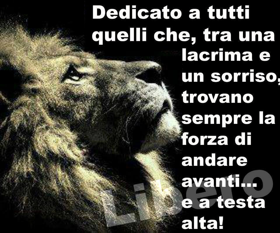 Dedicato a tutti quelli che, tra una lacrima e un sorriso, trovano sempre la forza di andare avanti... e a testa alta!