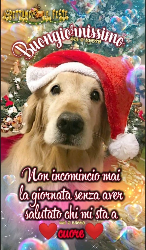 Buongiornissimo non incomincio mai la giornata senza aver salutato chi mi sta a cuore