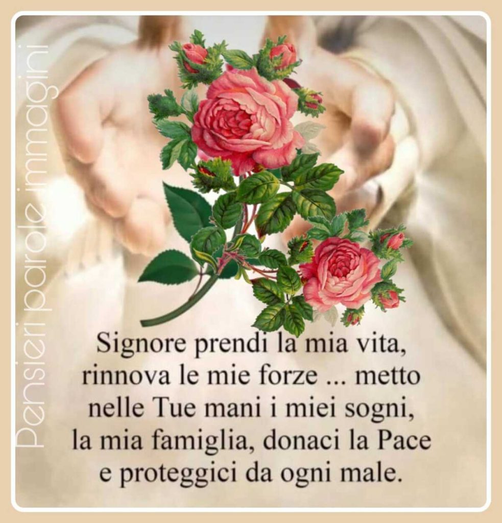 Signore prendi la mia vita, rinnova le mie forze... metto nelle Tue mani i miei sogni, la mia famiglia, donaci la Pace e proteggici da ogni male