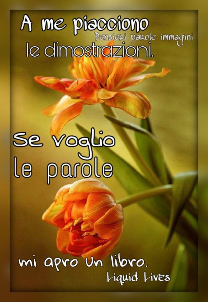 A me piacciono le dimostrazioni. Se voglio le parole mi apro un libro