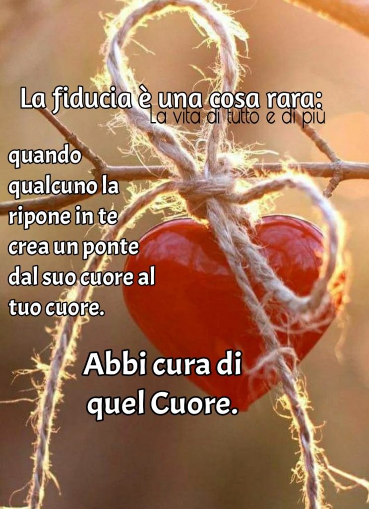 La fiducia è una cosa rara: Quando qualcuno la ripone in te crea un ponte dal suo cuore al tuo cuore. Abbi cura di quel cuore