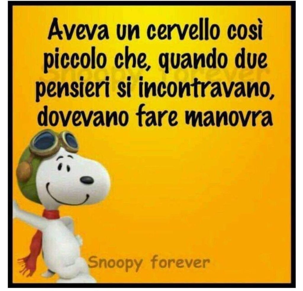 Aveva un cervello così piccolo che, quando due pensieri si incontravano, dovevano fare manovra