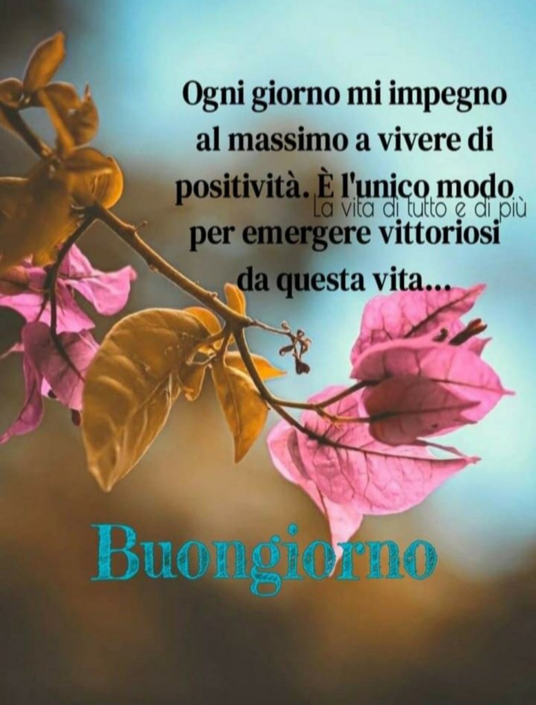 Ogni giorno mi impegno al massimo a vivere di positività. È l'unico modo per emergere vittortiosi da questa vita... Buongiorno