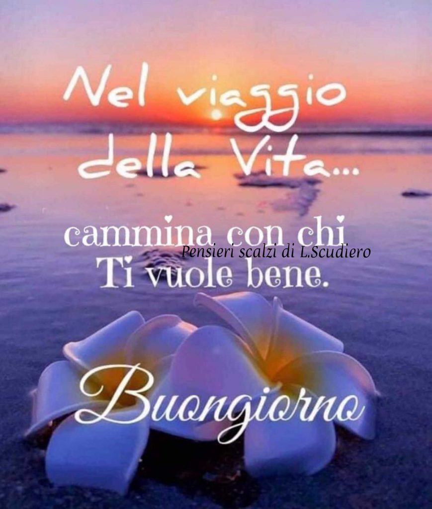 Nel viaggio della vita... cammina con chi Ti vuole bene Buongiorno