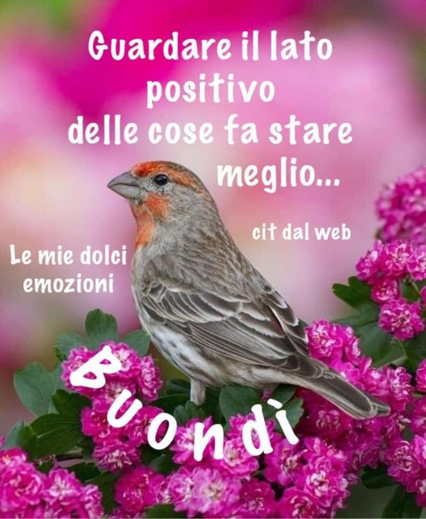 Guardare il lato positivo delle cose fa stare meglio...