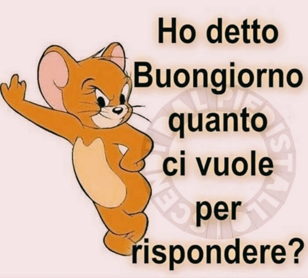 Ho detto Buongiorno quanto ci vuole per rispondere? 