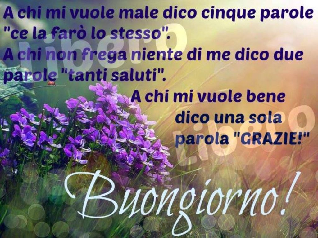 A chi mi vuole male dico cinque parole "Ce la farò lo stesso". A chi non frega niente di me dico due parole "Tanti saluti" A chi mi vuole bene dico una sola parola "Grazie" Buongiorno!