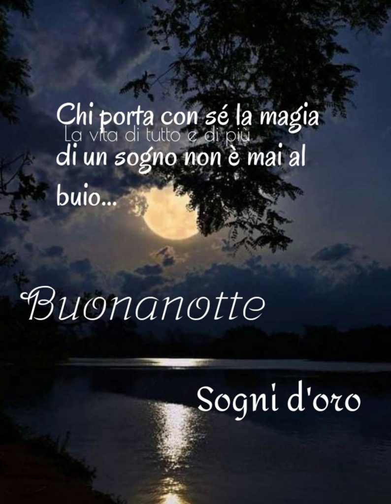 Chi porta con sé la magia di un sogno non è mai al buio Buonanotte sogni d'oro