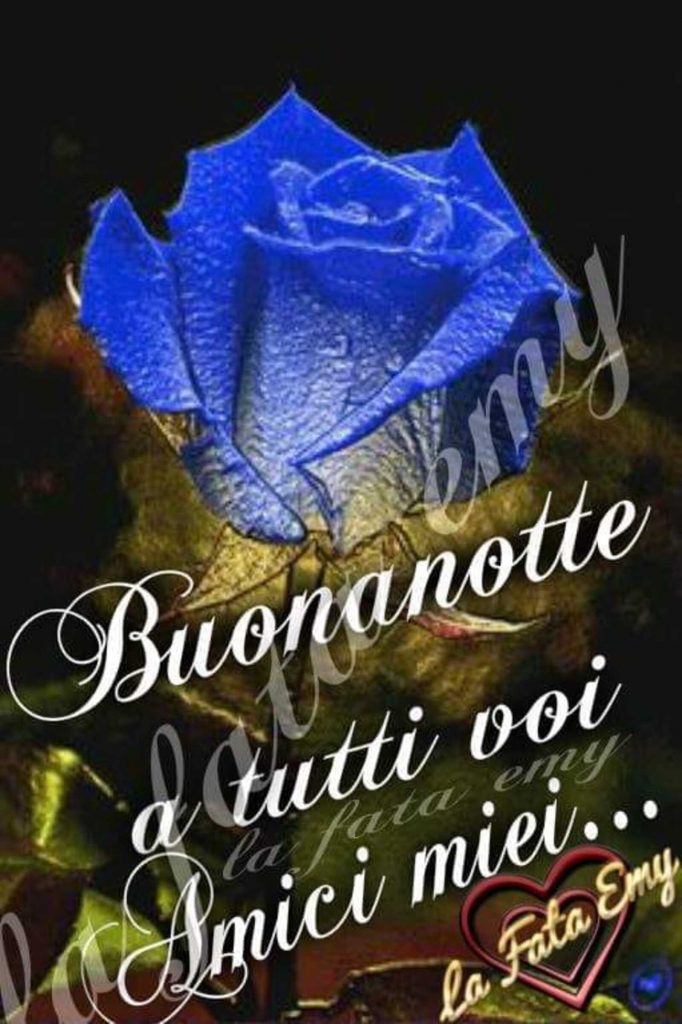 Buonanotte a tutti voi amici miei...