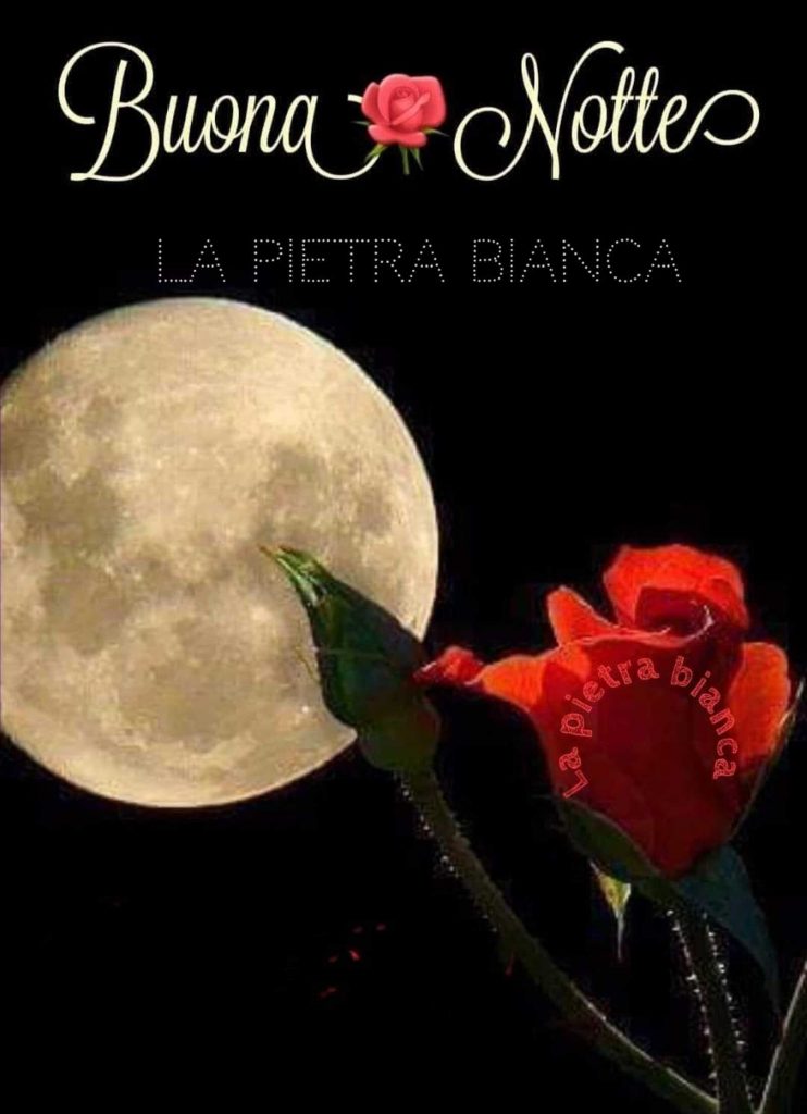 Buona Notte
