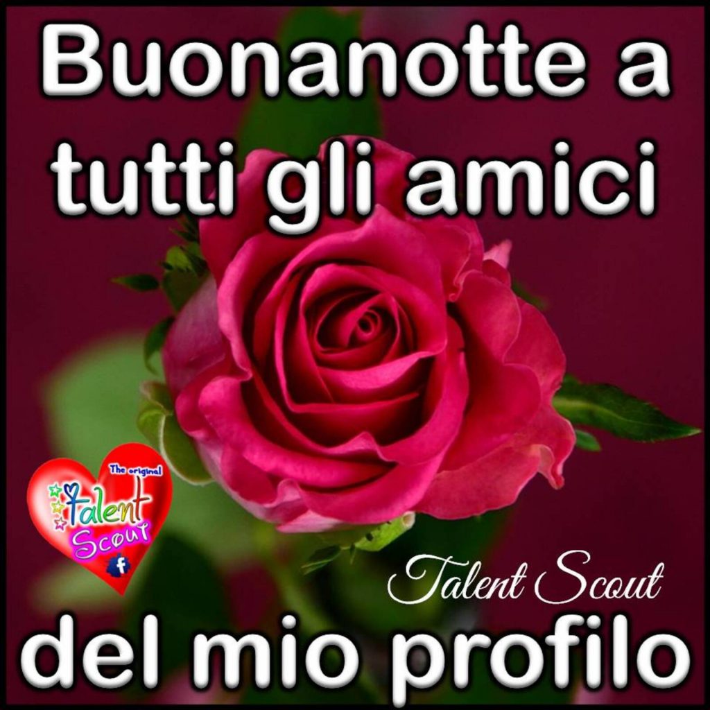 Buonanotte a tutti gli amici del mio profilo