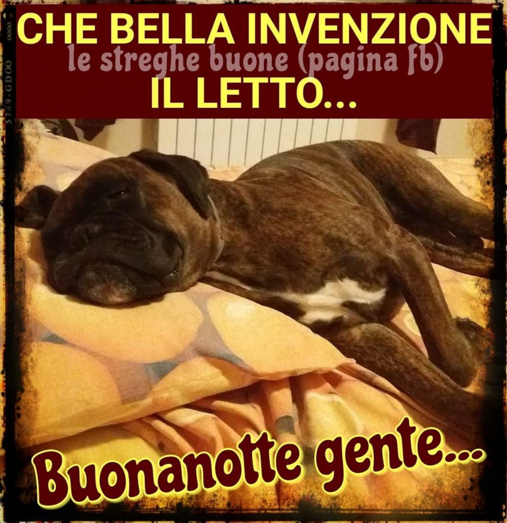 Che bella invenzione il letto... Buonanotte gente...