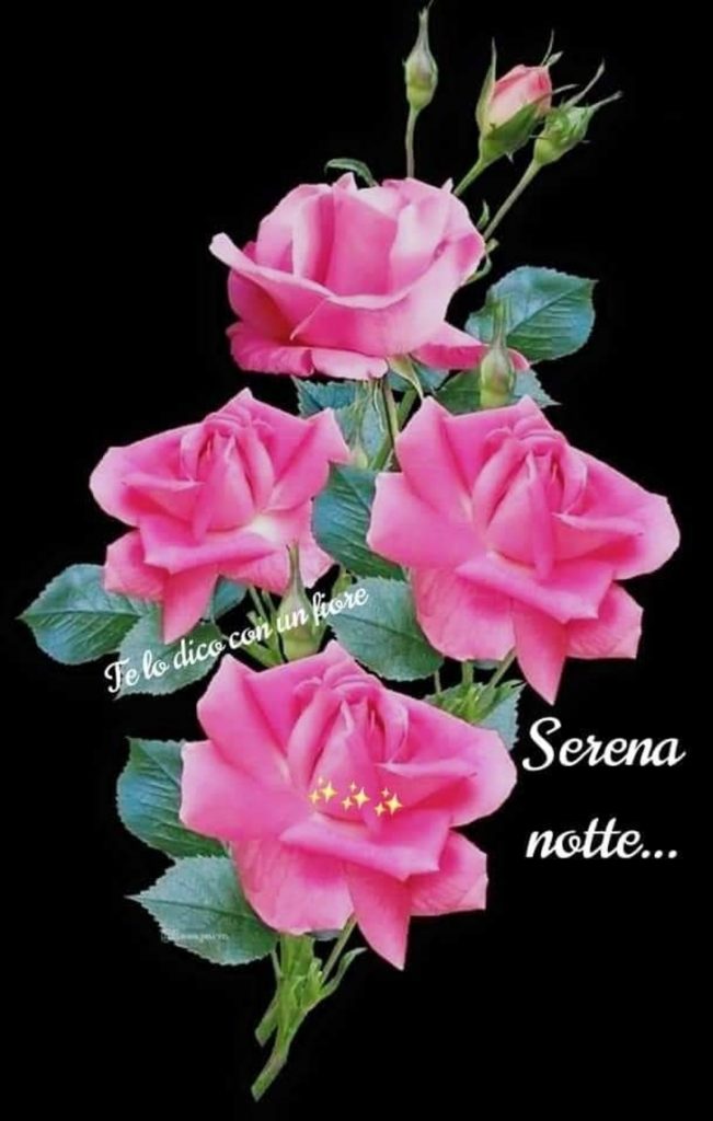 Serena Notte...