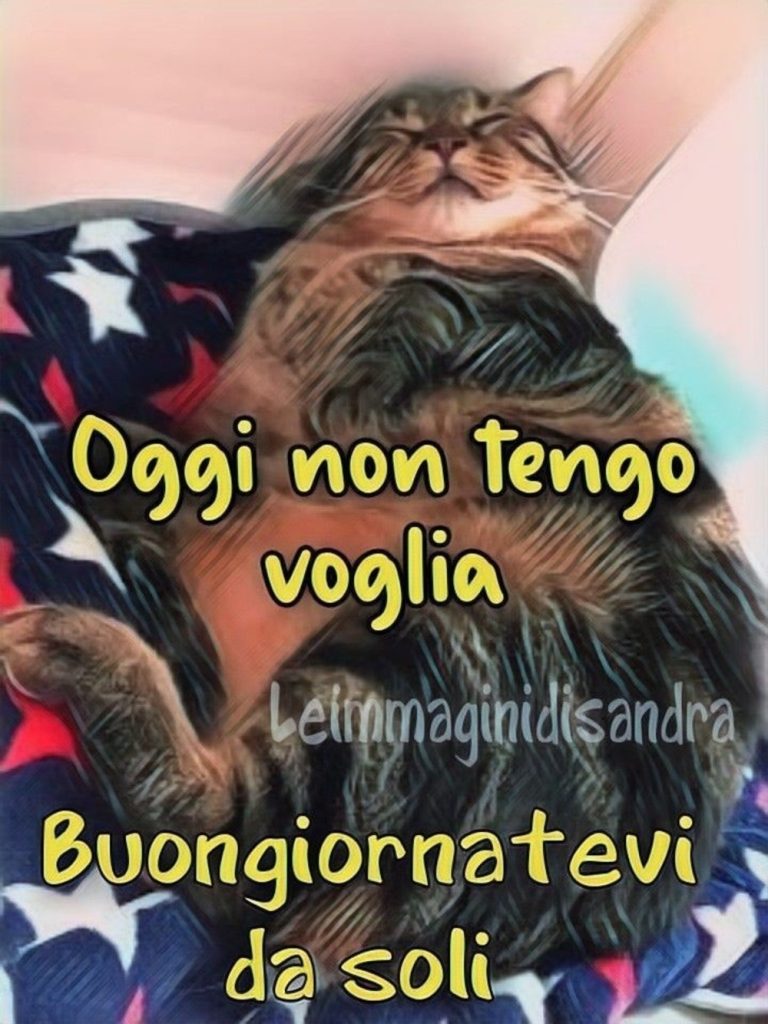 Oggi non tengo voglia Buongiornatevi da soli