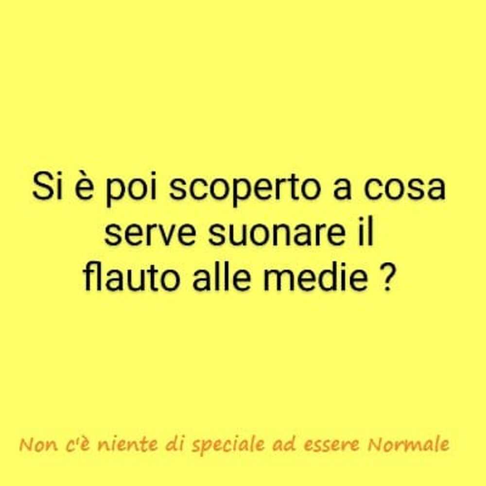 Si è poi scoperto a cosa serve suonare il flauto alle medie?