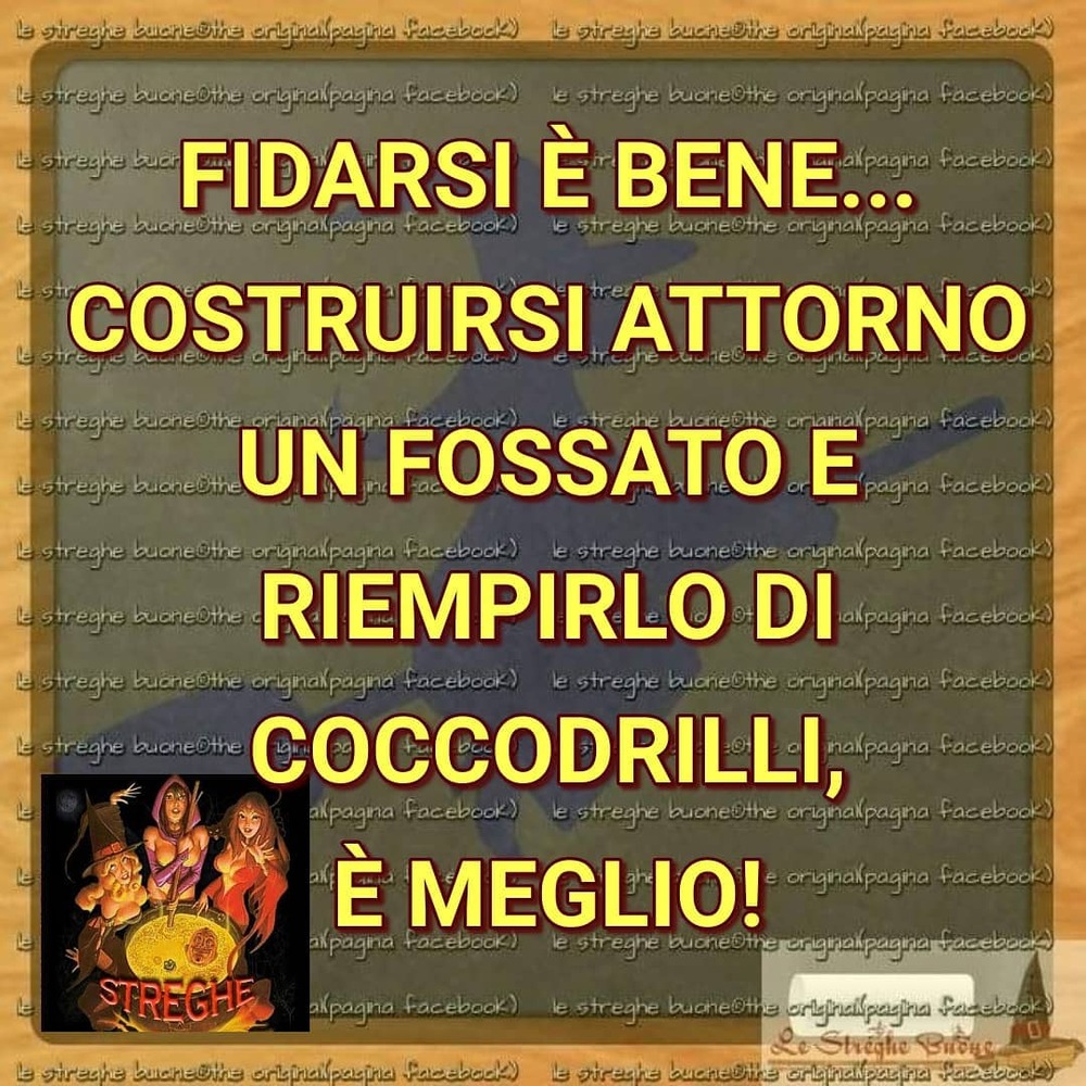 Fidarsi è bene... costruirsi attorno un fossato e riempirlo di coccodrilli è meglio!