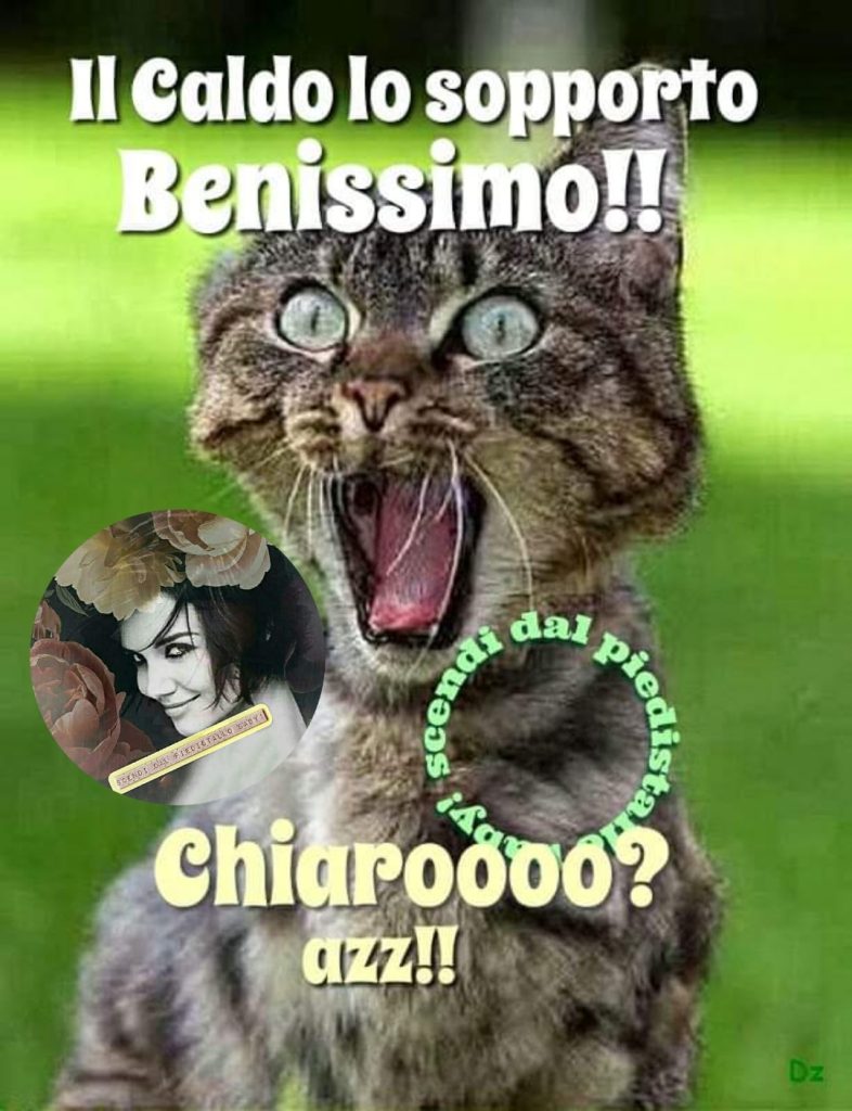 Il caldo lo sopporto benissimo!! Chiaroooo? azz!!