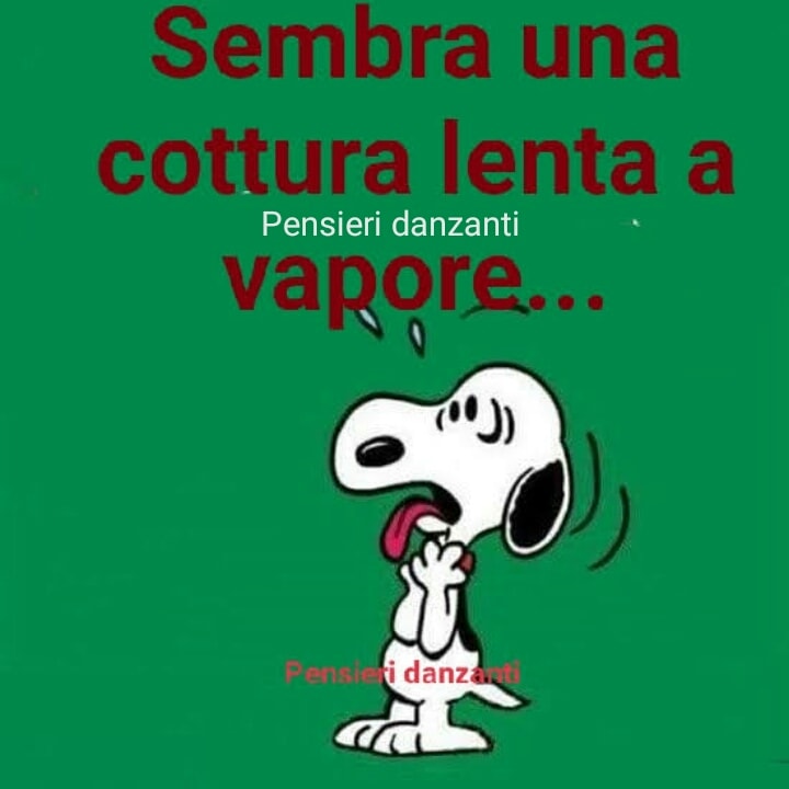 Sembra una cottura lenta a vapore...