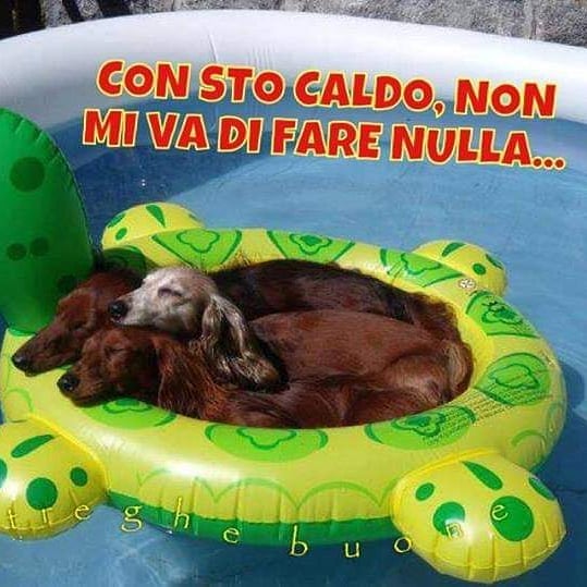 Con sto caldo, non mi va di fare nulla