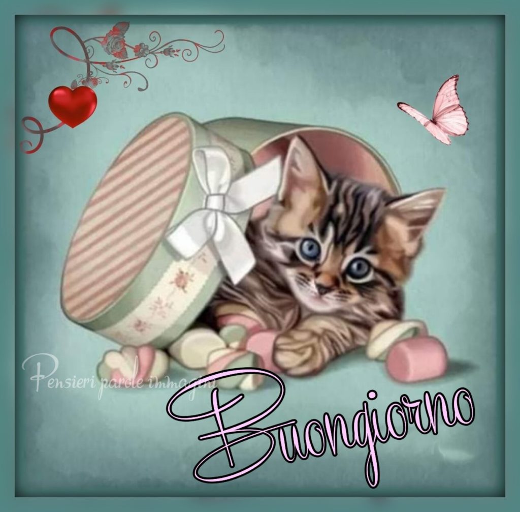 Buongiorno