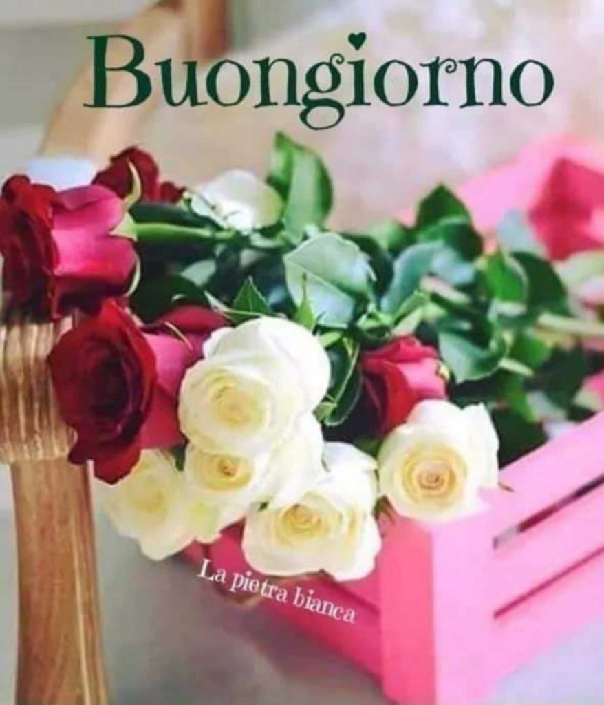 Buongiorno