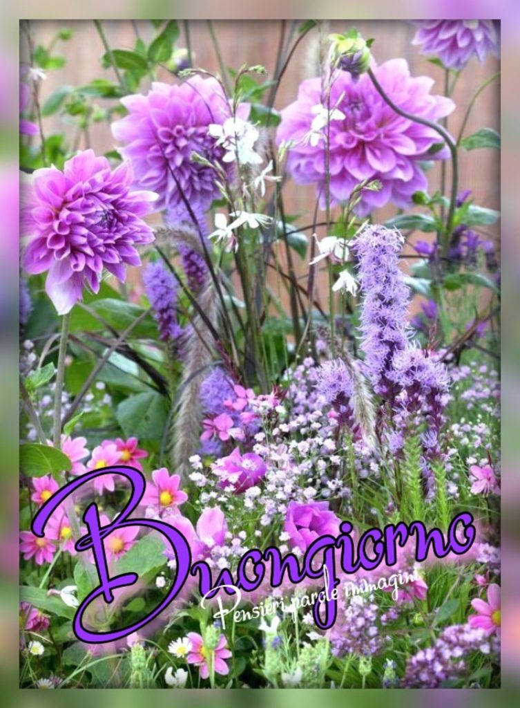Buongiorno