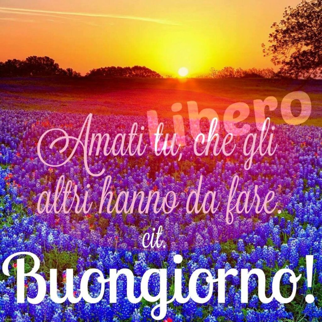 Amati tu, che gli altri hanno da fare Buongiorno!