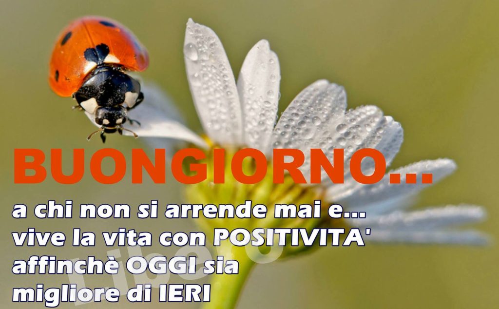 Buongiorno... a chi non si arrende mai e... vive la vita con positività affinché oggi sia migliore di ieri