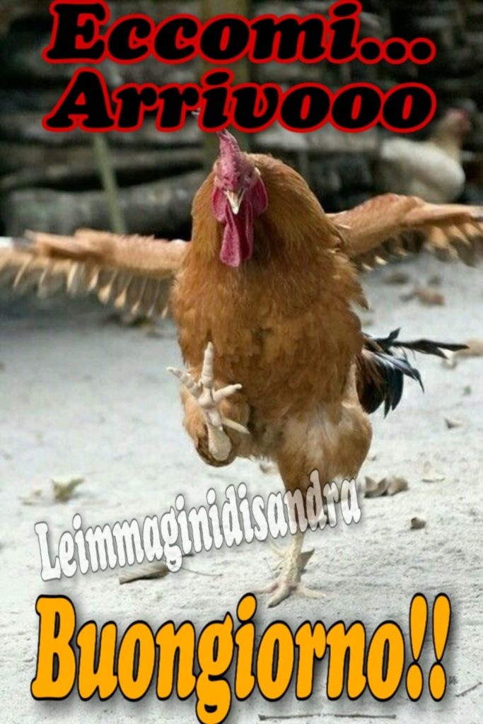 Eccomi...arrivo Buongiorno!!
