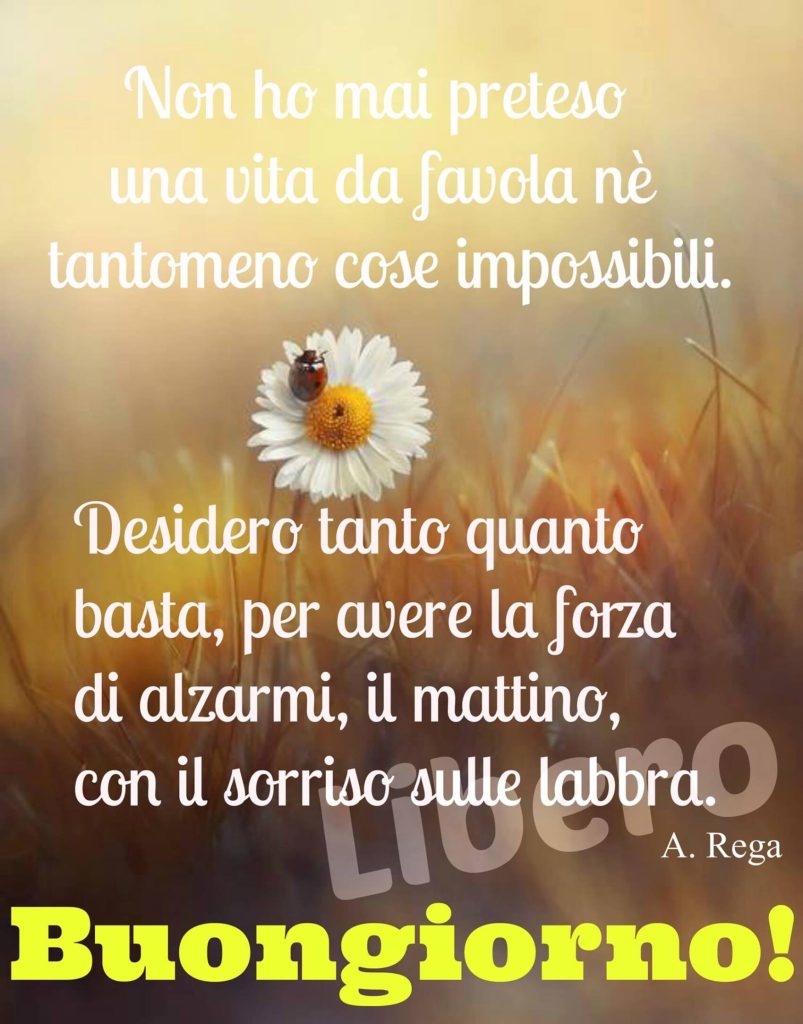 Non ho mai preteso una vita da favola né tantomeno cose impossibili. Desidero tanto quanto basta, per avere la forza di alzarmi, il mattino, con il sorriso sulle labbra. Buongiorno!