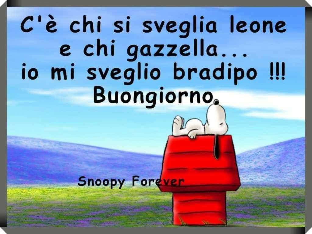 C'è chi si sveglia leone e chi gazzella... io mi sveglio bradipo!!! Buongiorno