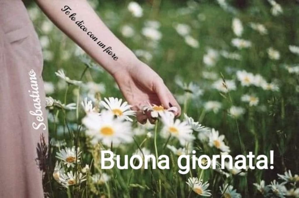 Buona Giornata!