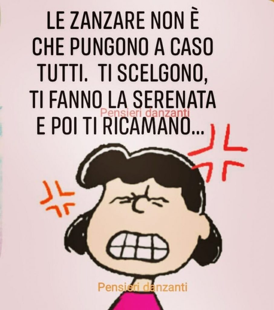 Le zanzare non è che pungono a caso tutti. Ti scelgono, ti fanno la serenata e poi ti ricamano...