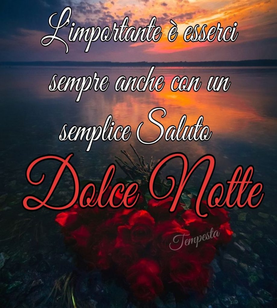 L'importante è esserci sempre anche con un semplice Saluto Dolce Notte