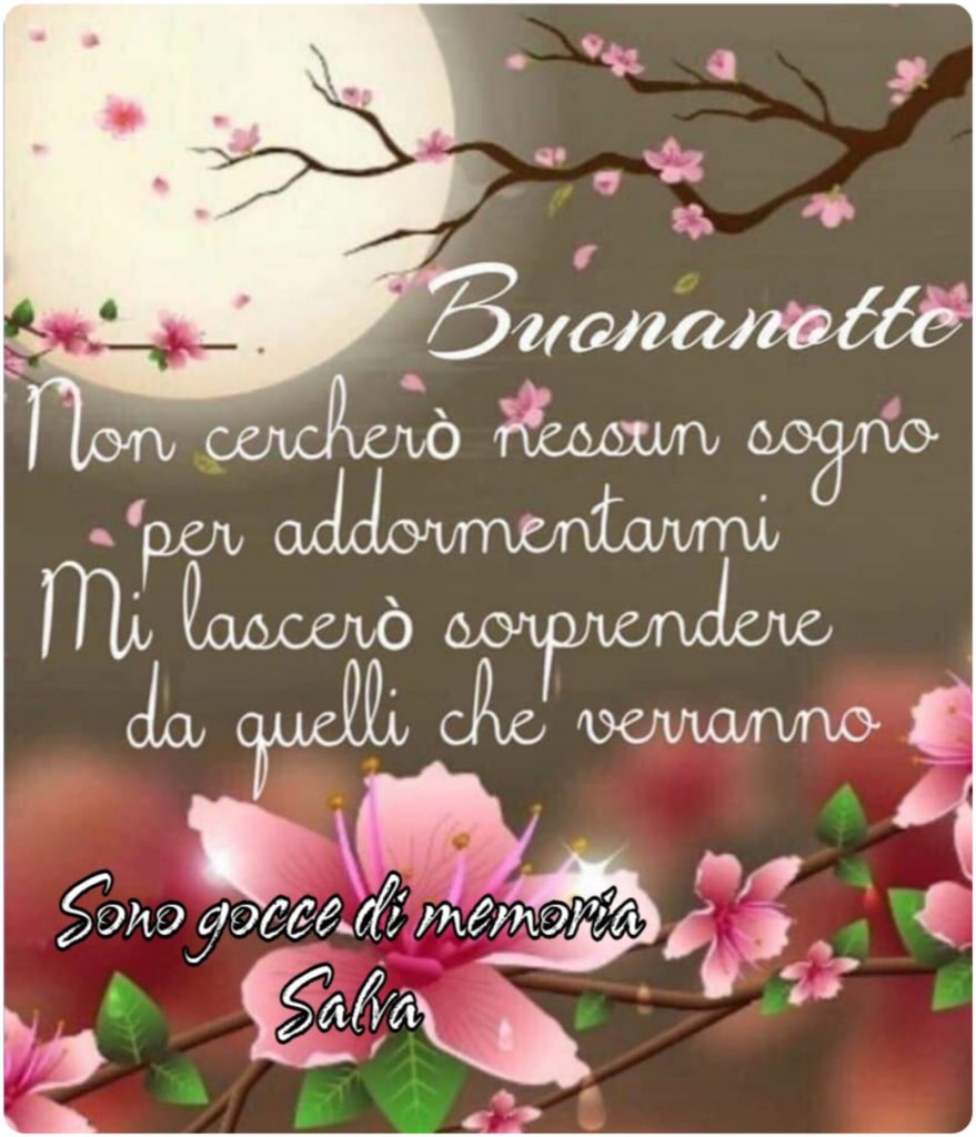 Buonanotte non cercherò nessun sogno per addormentarmi Mi lascerò sorprendere da quelli che verranno