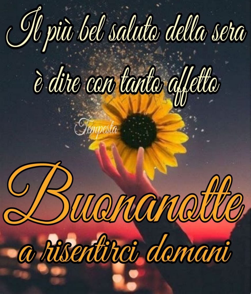 Il più bel saluto della sera è dire con tanto affetto Buonanotte a risentirci domani