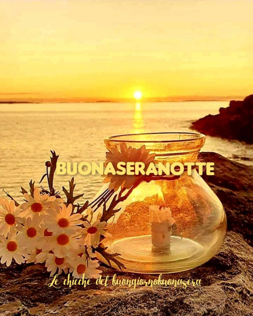 Buonasera Notte