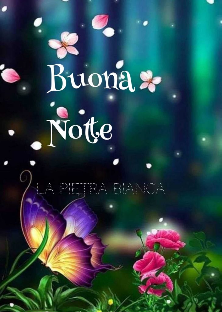 Buona Notte