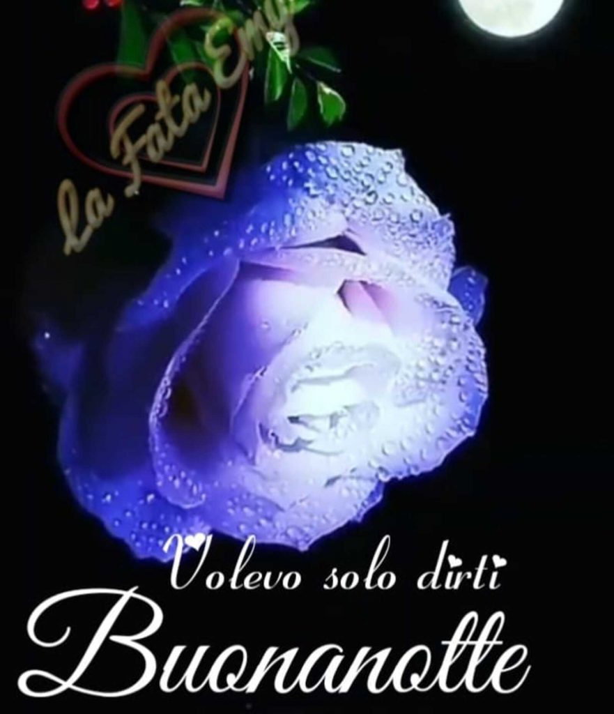 Volevo solo dirti Buonanotte