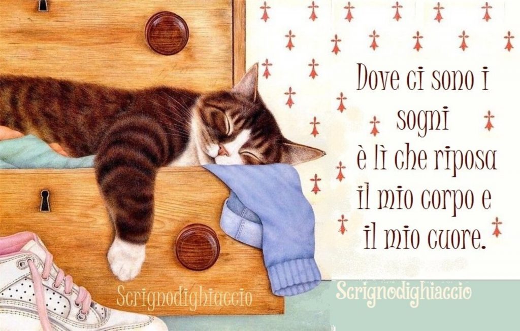 Dove ci sono i sogni è lì che riposa il mio corpo e il mio cuore