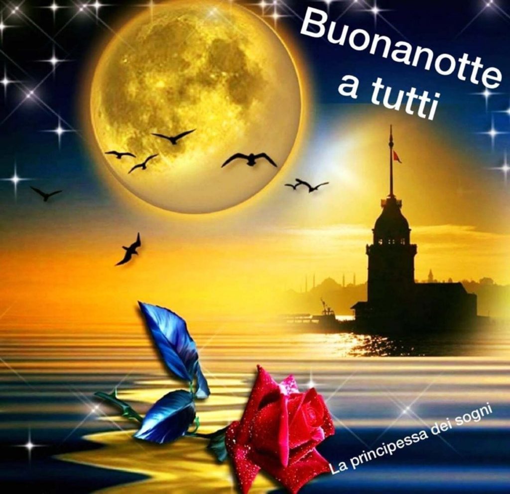 Buonanotte a tutti 