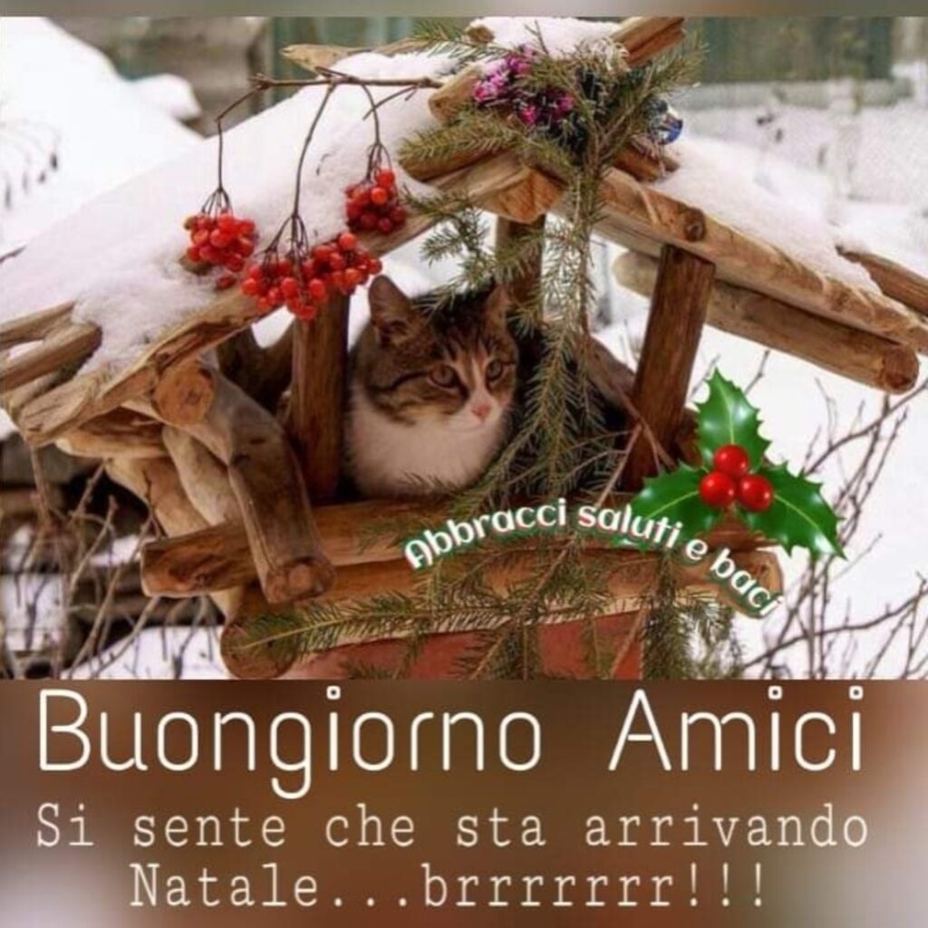 Buongiorno Amici, si sente che sta arrivando il Natale... Brrr !!!