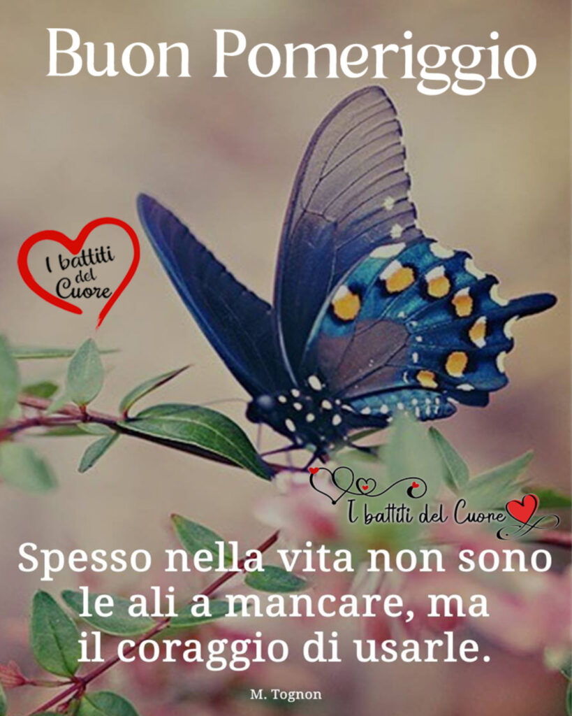 Buon Pomeriggio. "Spesso nella vita non sono le ali a mancare, ma il coraggio di usarle."